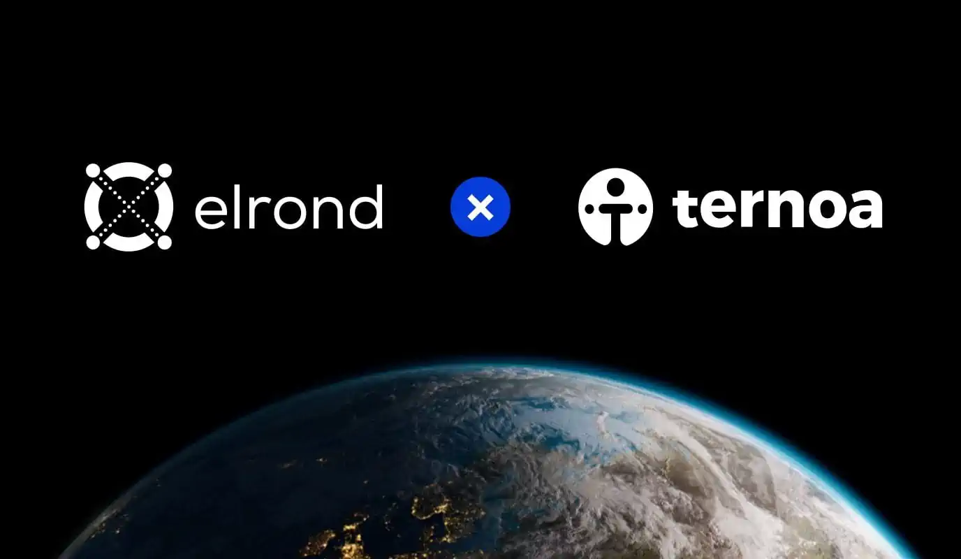 NFTize Your Memories On The Elrond Network With Blockchain Time Capsules From Ternoa