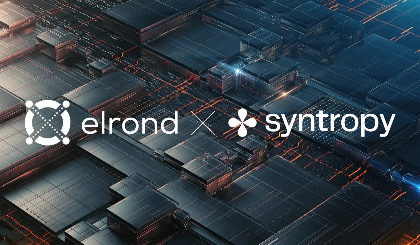 Road To Decentralization: Infrastructure Automation Tools For Elrond Validators Via The Syntropy Stack