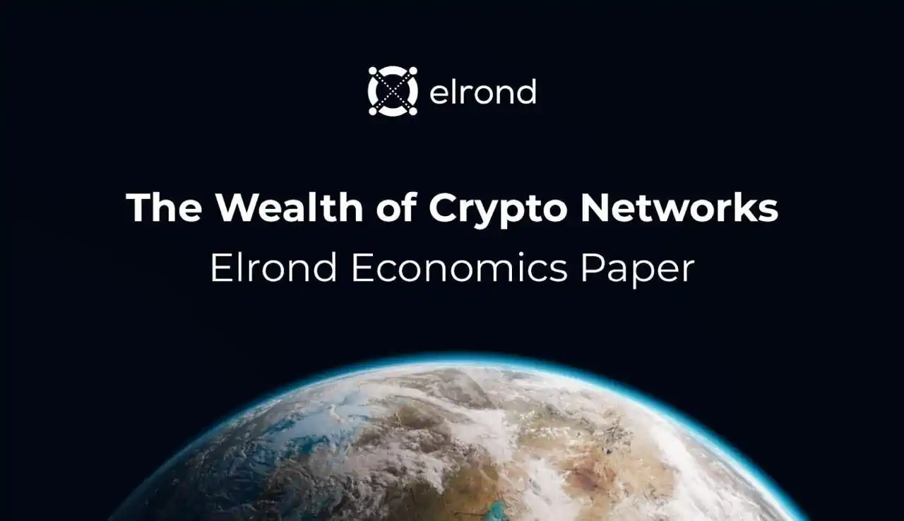 The Wealth of Crypto Networks - Elrond Economics Paper