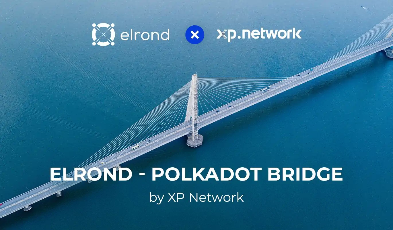 XP Network To Build The First Elrond <> Polkadot Bridge For Multi-Chain NFT dApps Deployment