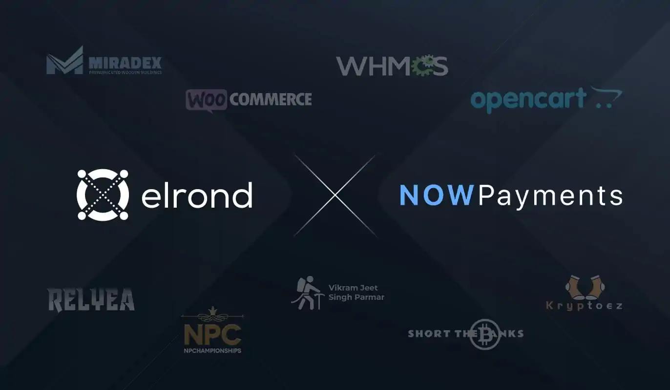 Towards A Global Payments Network: NOWPayments Partner Spotlight