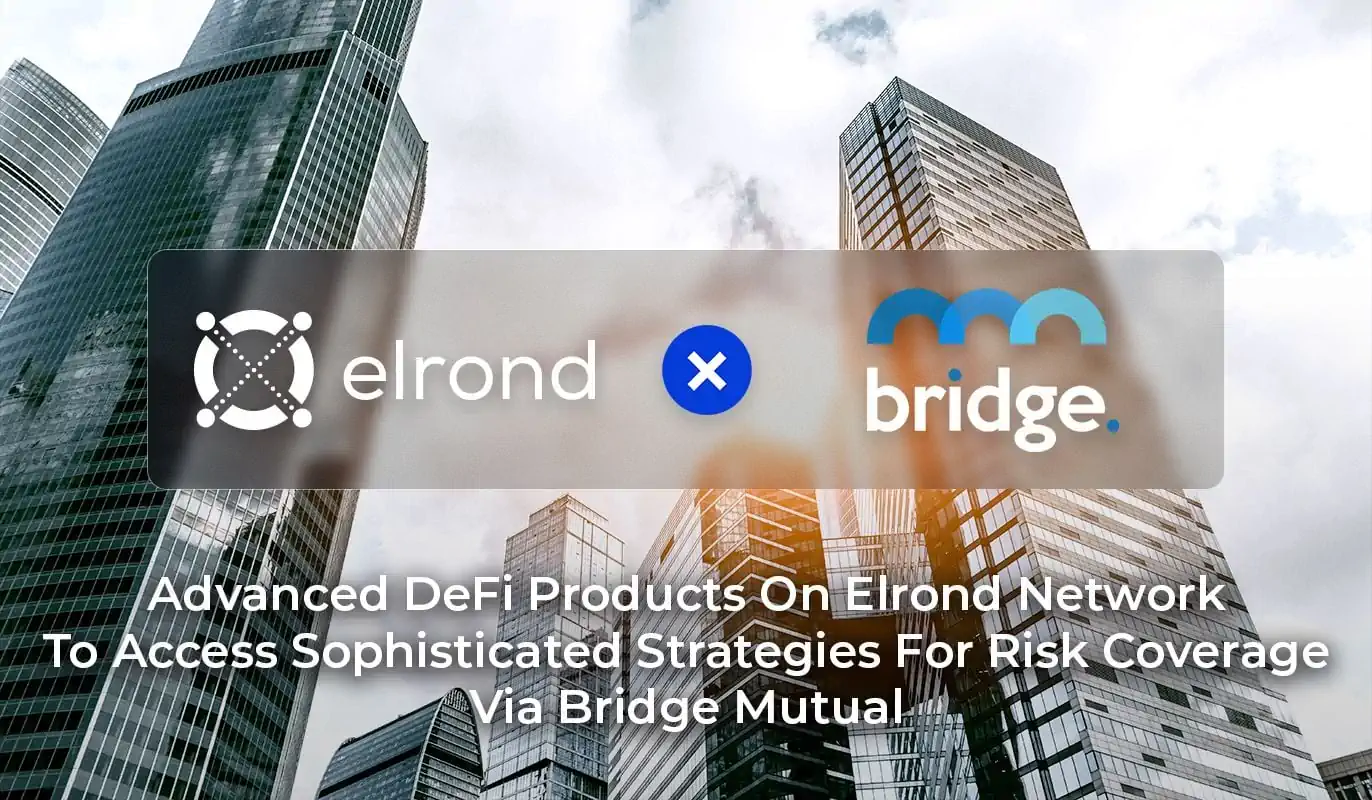 Advanced DeFi Products On Elrond Network To Access Sophisticated Strategies For Risk Coverage Via Bridge Mutual