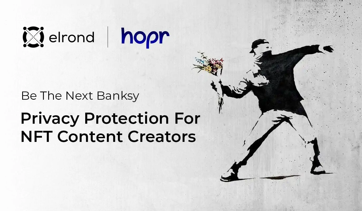 Be The Next Banksy: Privacy Protection For Elrond NFT Content Creators Via HOPR