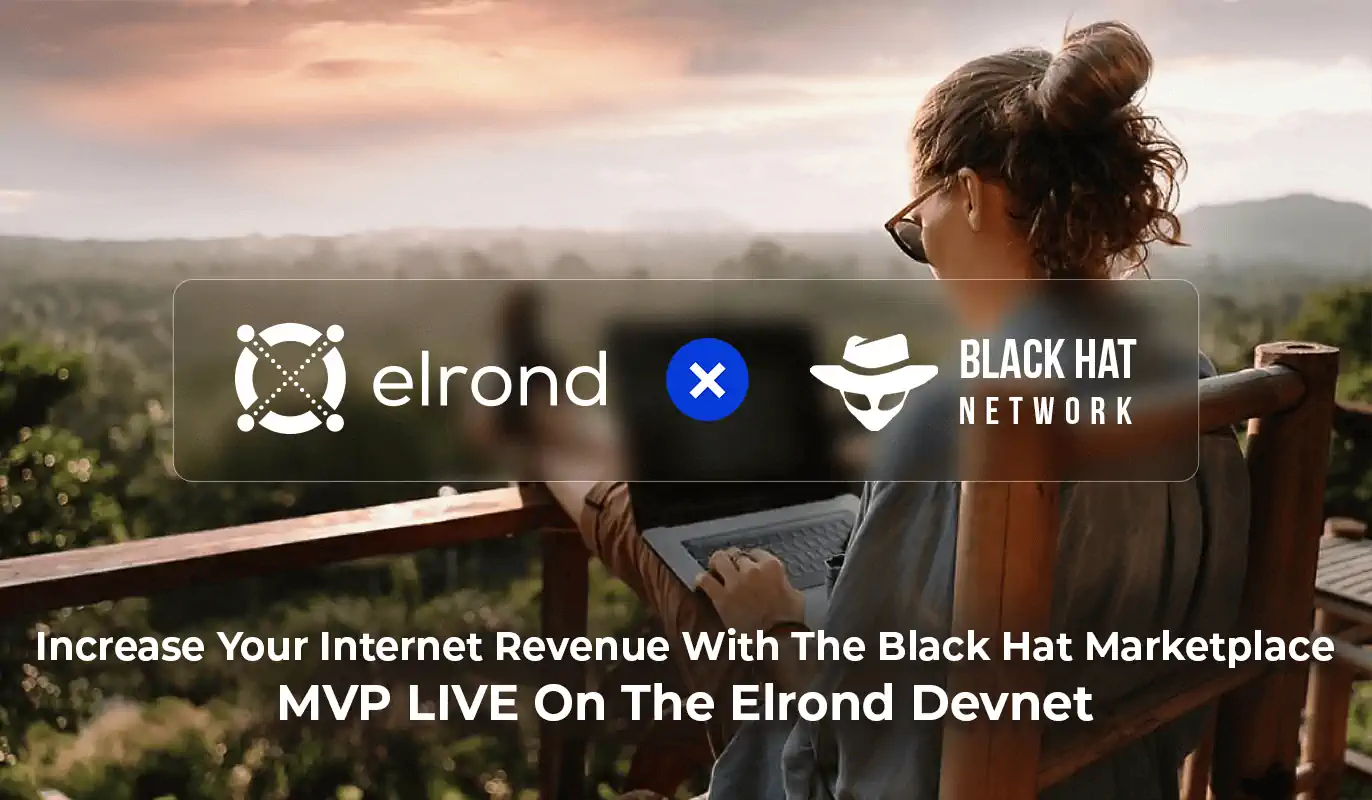 Increase Your Internet Revenue With The Black Hat Network Digital Services Marketplace. The MVP is LIVE On The Elrond Devnet