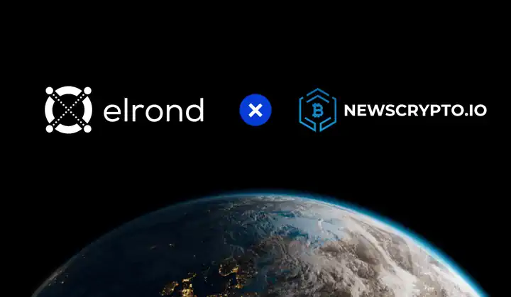 Discover The Elrond Network Technology And Ecosystem Via Educational Resources By Blockchain Academy NewsCrypto