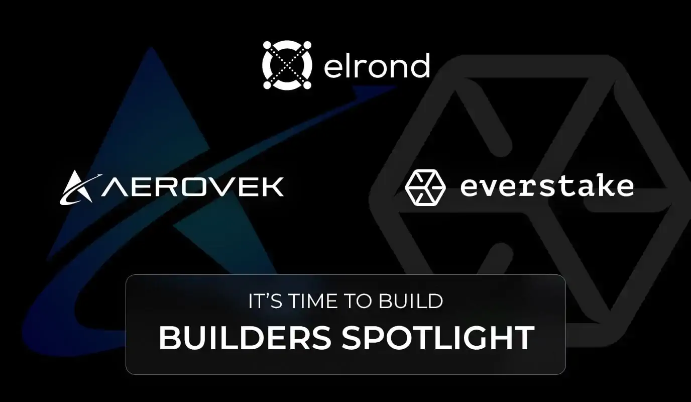 Builders Spotlight: Elrondmonitor Blockchain Explorer By Everstake. Dual Token + Gnogen NFT Rewards For Staking With Aerovek.