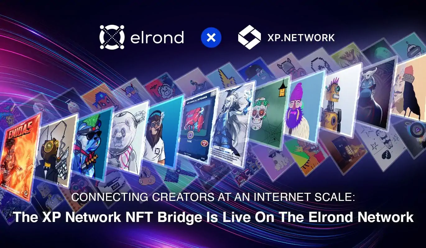 Connecting Creators At An Internet Scale: The XP Network NFT Bridge Is Live On The Elrond Network