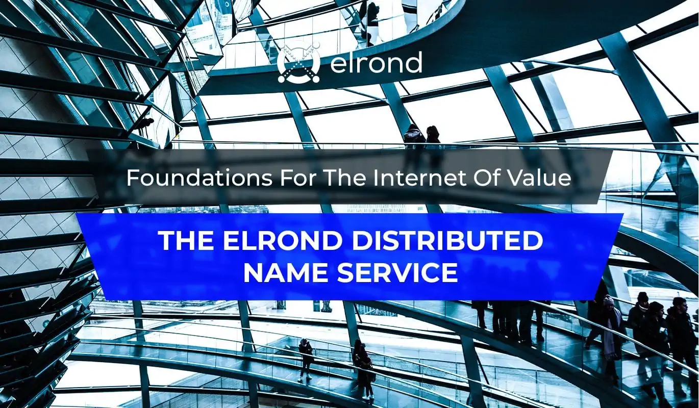 Foundations For The Internet Of Value via The Elrond Distributed Name Service