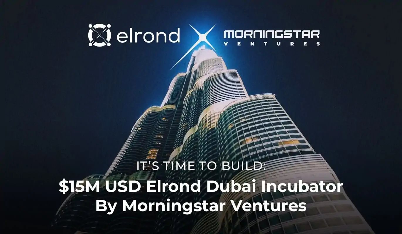 It’s Time To Build: $15M USD Elrond Dubai Incubator By Morningstar Ventures