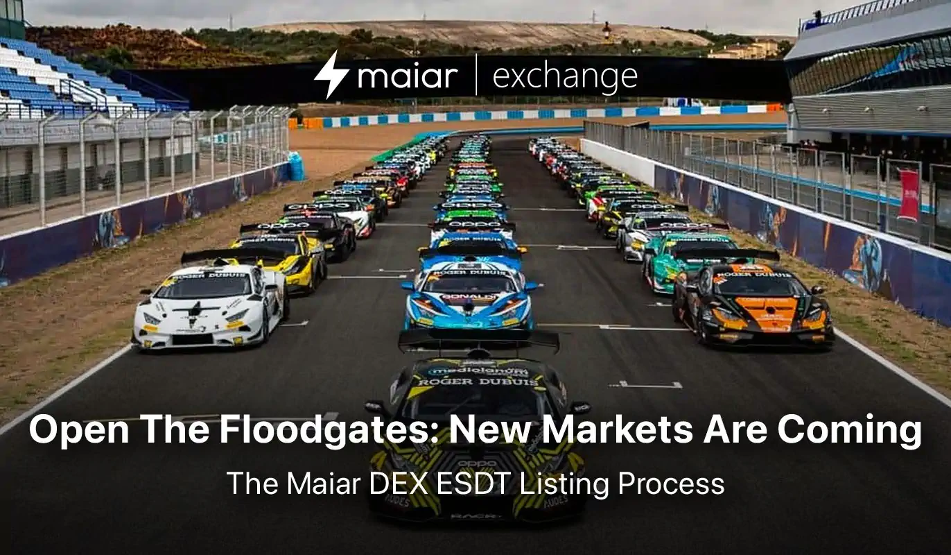 Open The Floodgates: New Markets Are Coming. The Maiar DEX Token Listing Process