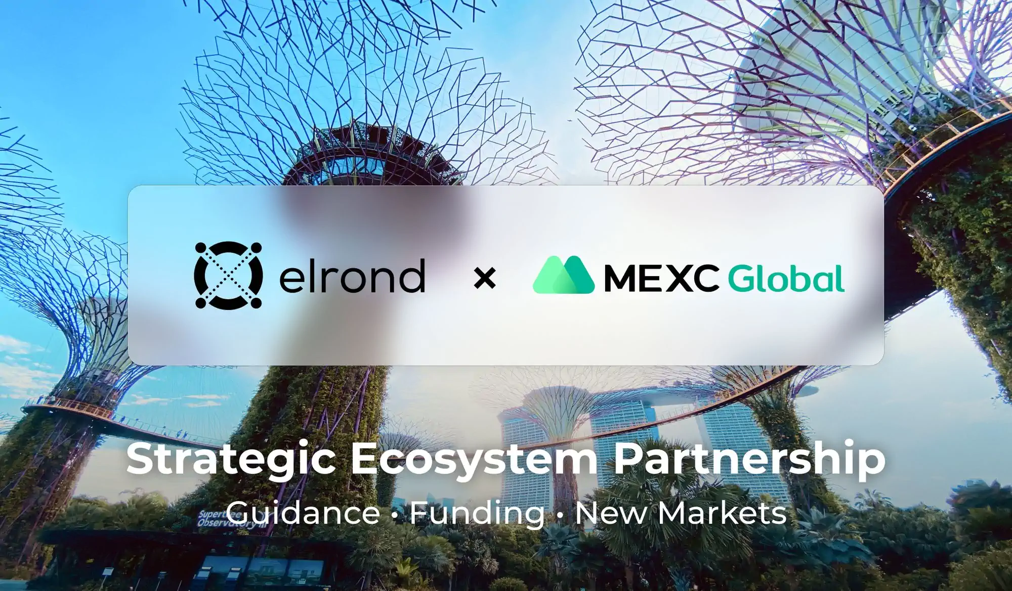 Elrond And MEXC Announce Strategic Ecosystem Collaboration