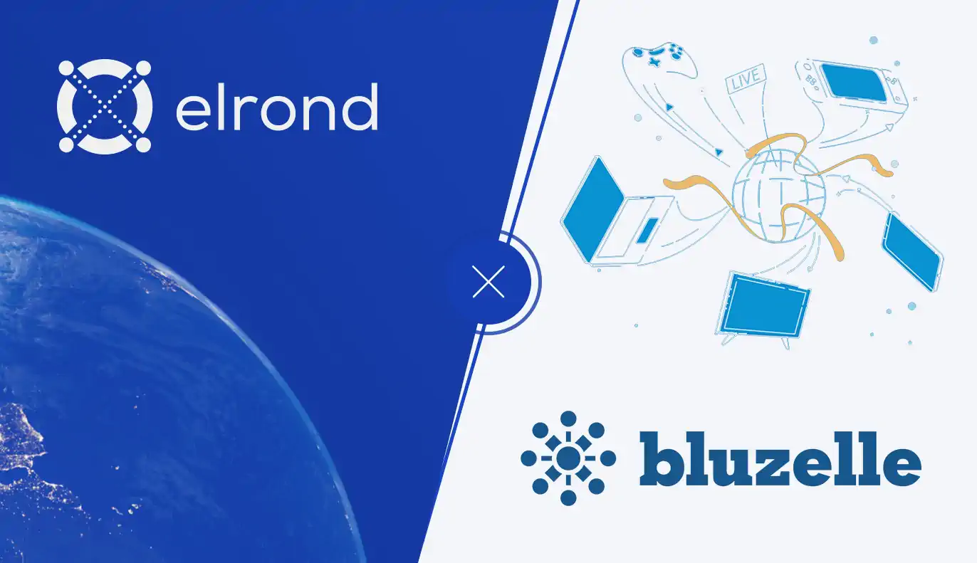 Scalable Decentralization for Financial Applications on Elrond Mainnet via Bluzelle Database Layer