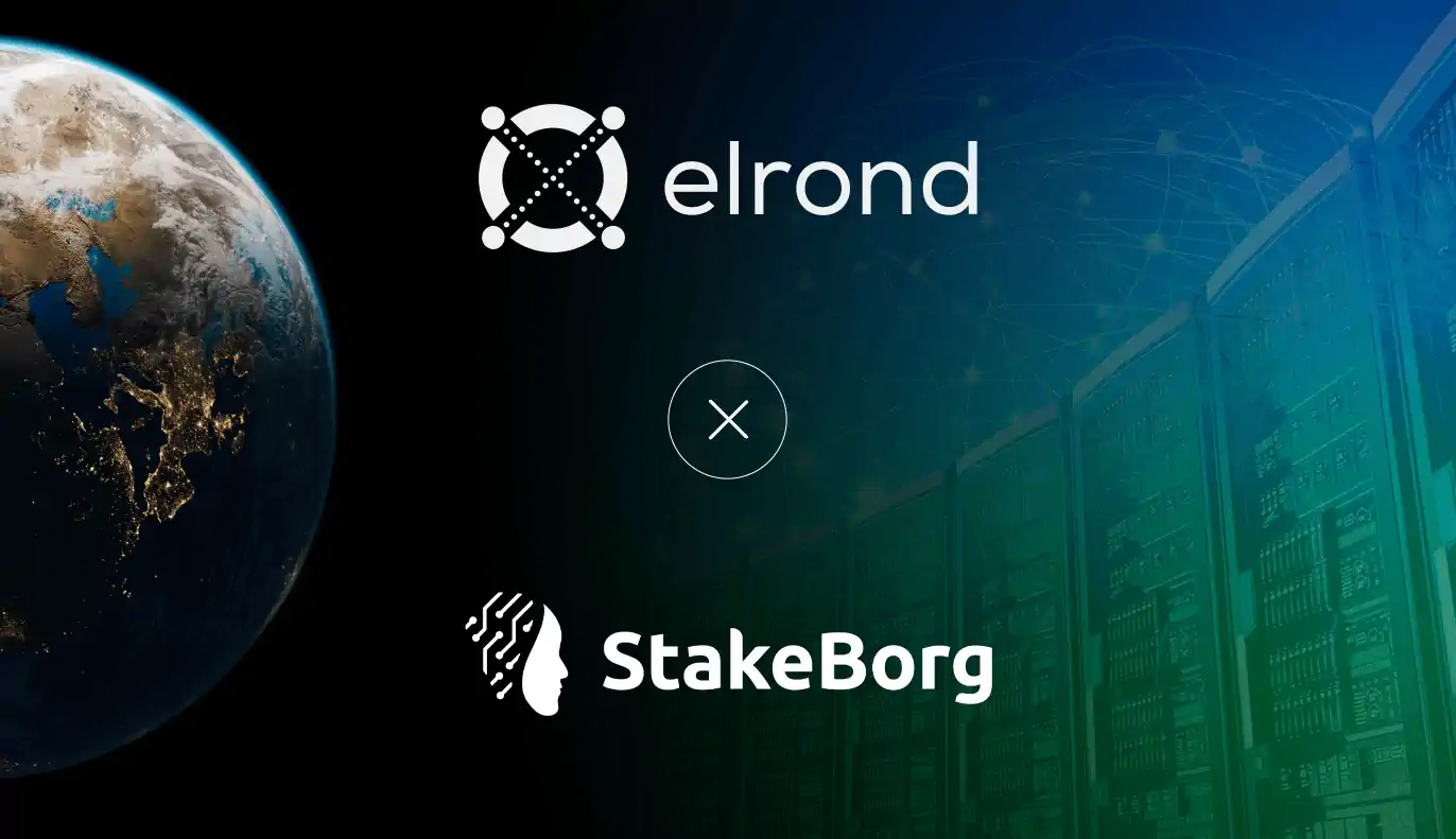 Private Mainnet Launch Partner StakeBorg To Offer Staking Services