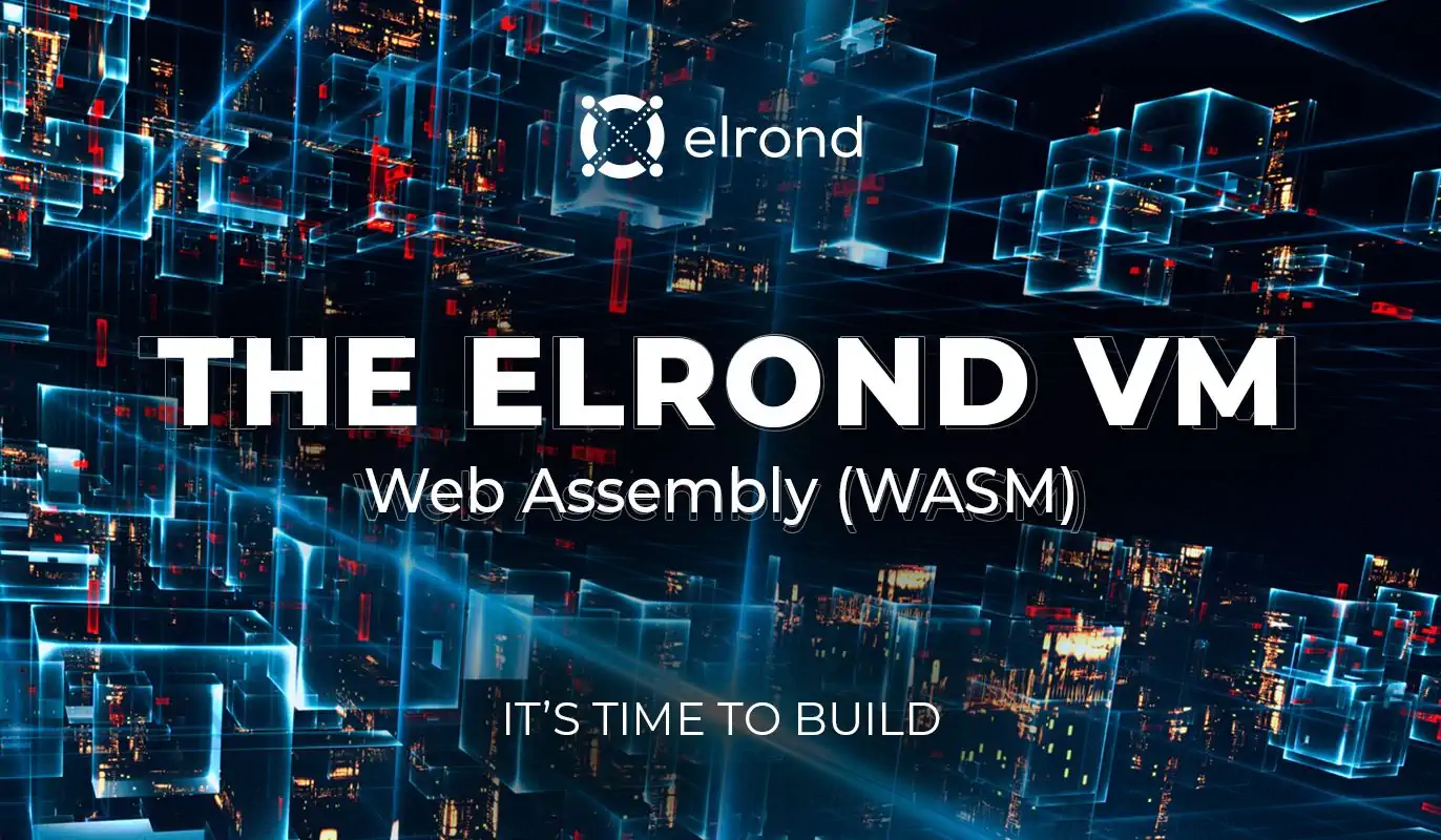 The Elrond Virtual Machine - Smart Contracts At Internet Scale.