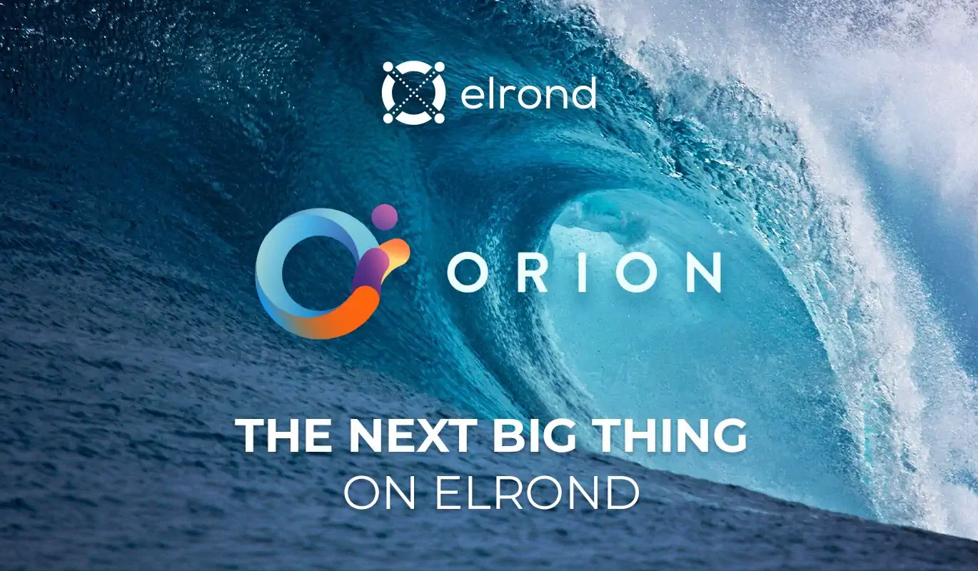 Orion Comes to Elrond: Liquidity as a Core Necessity for an Era of Internet-Scale Money