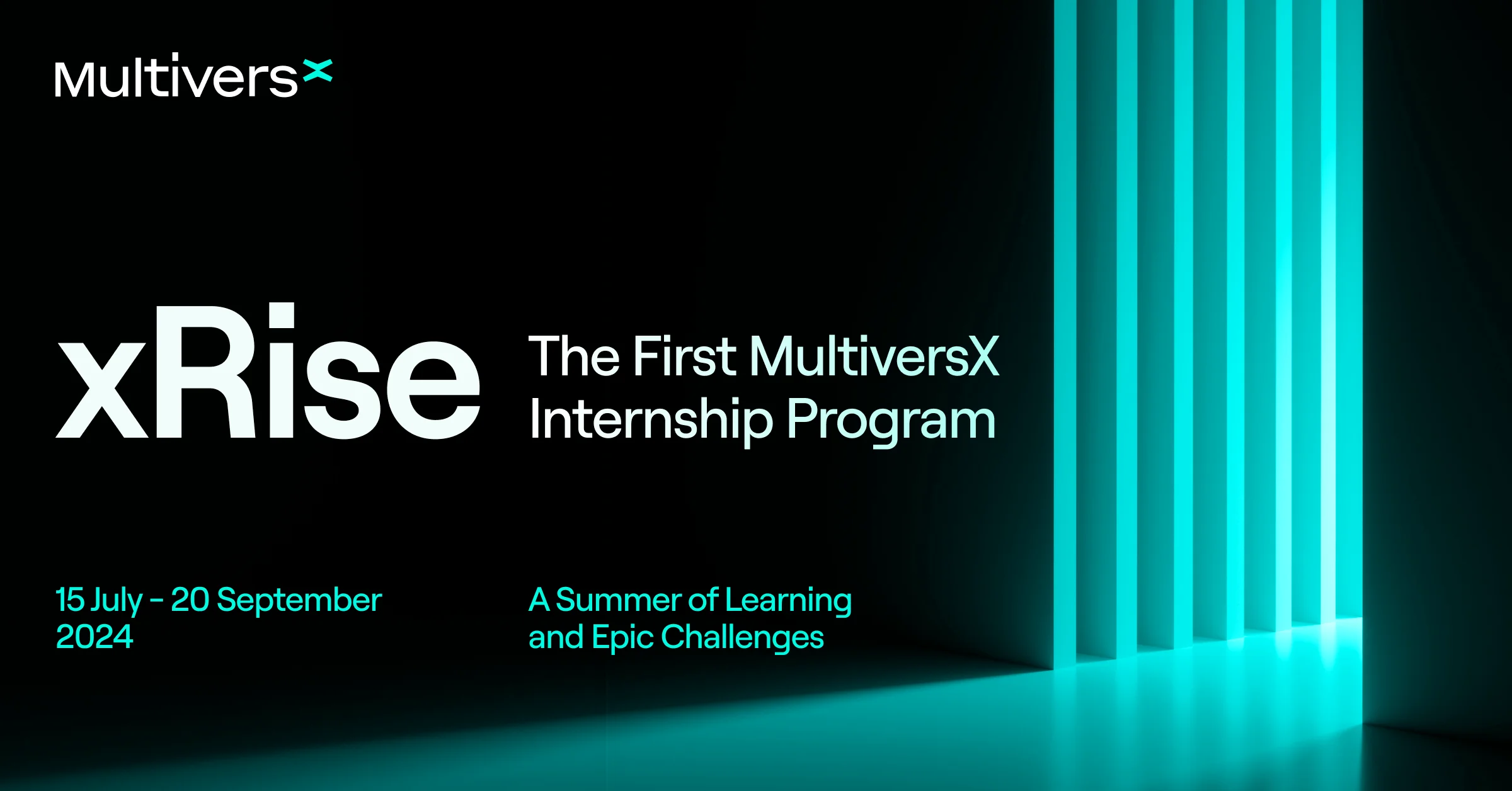 Introducing xRise, the First MultiversX Internship Program