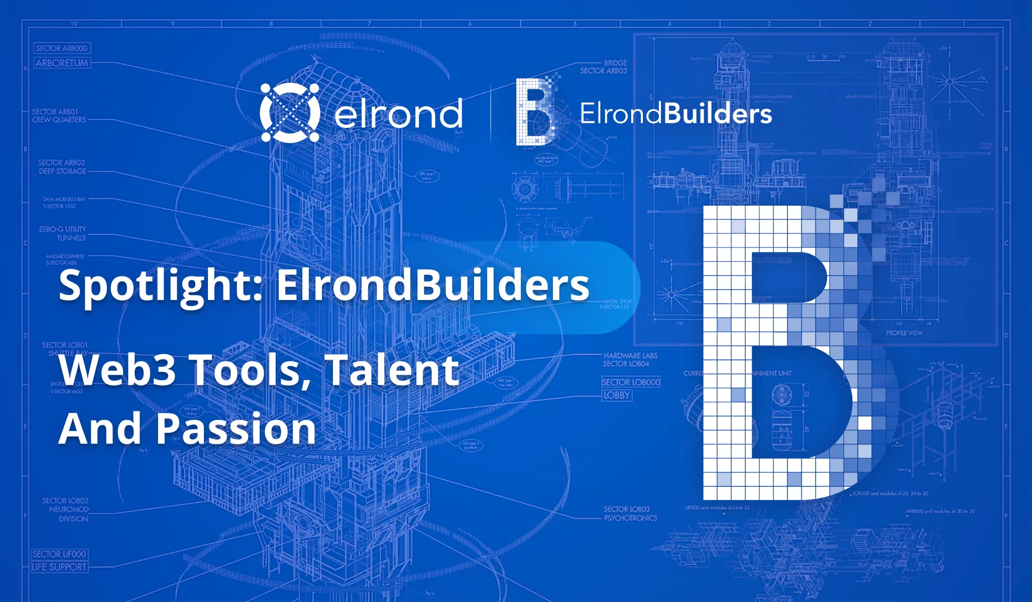 Builders Are Heroes. Meet Them, Or Become One, On The ‘Elrond Builders’ Platform