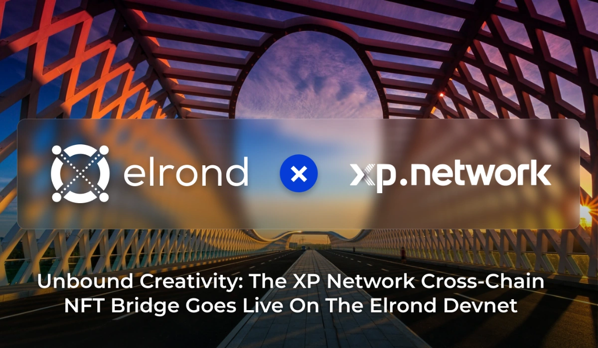 Unbound Creativity: The XP Network Multi-Chain NFT Bridge Goes Live On The Elrond Devnet